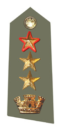 11-tencol-col