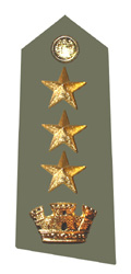 13-col